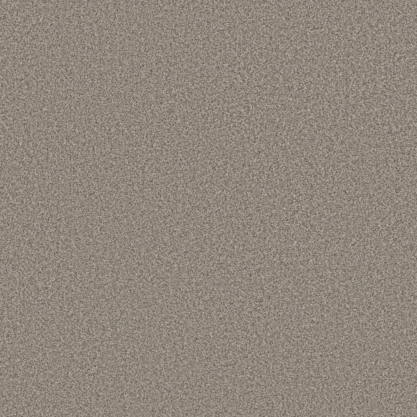 TEXTURE BCF