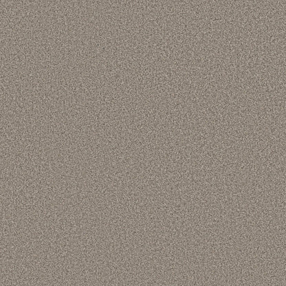 TEXTURE BCF