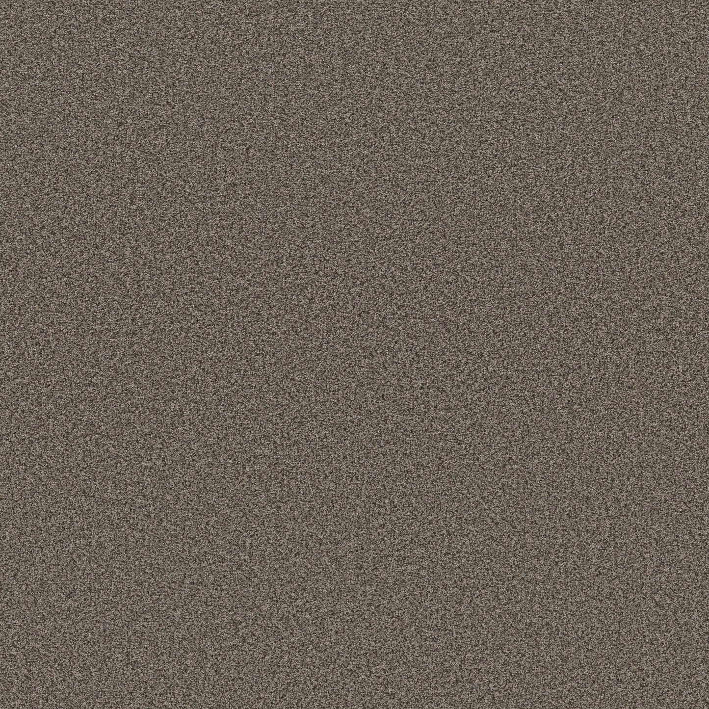 TEXTURE BCF