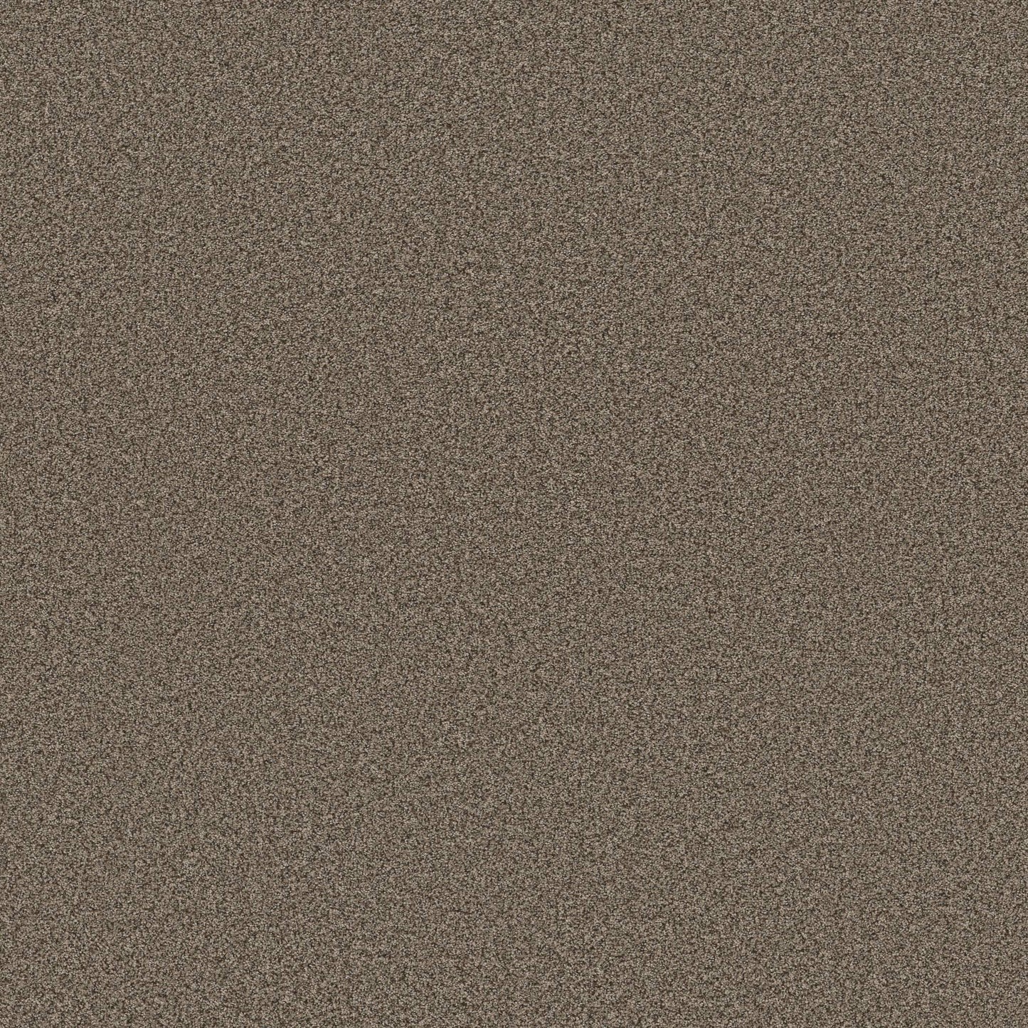 TEXTURE BCF