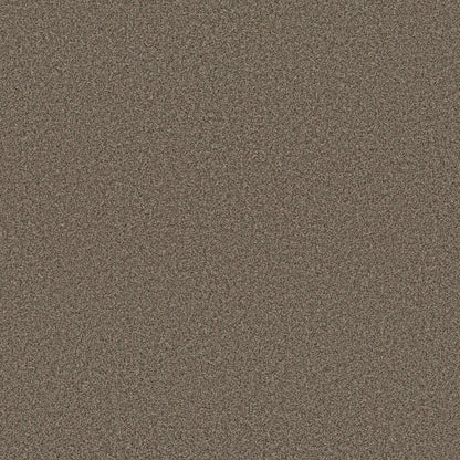 TEXTURE BCF