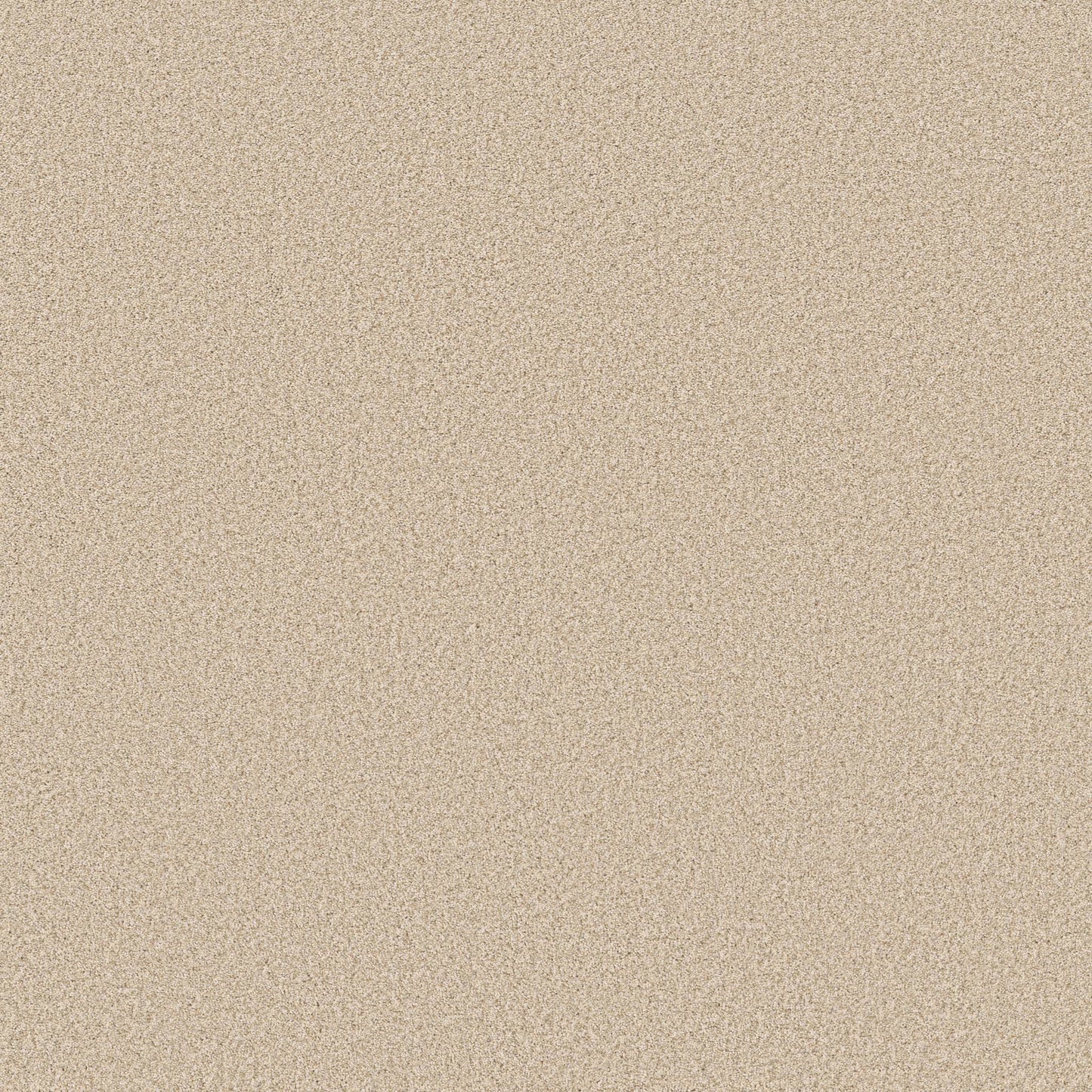 TEXTURE BCF