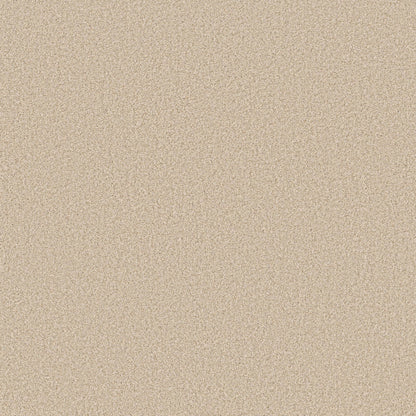 TEXTURE BCF