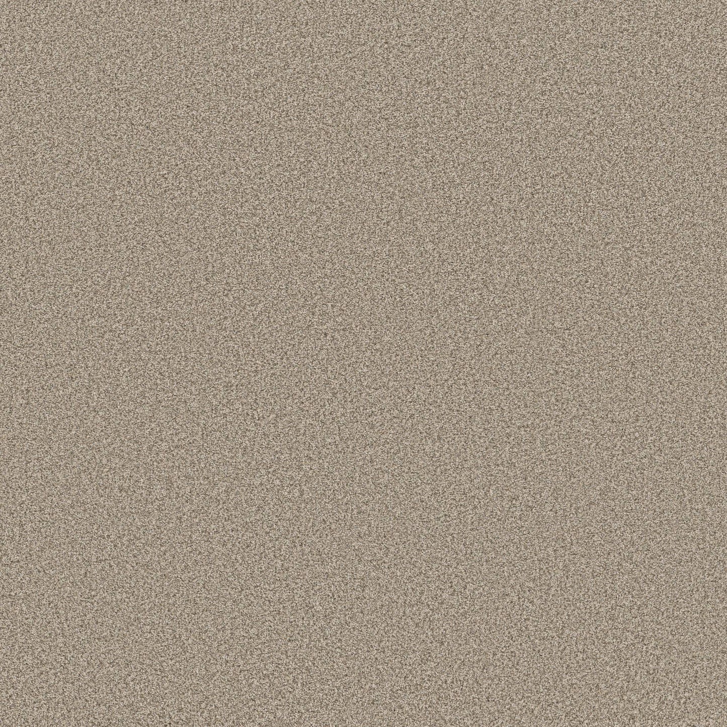 TEXTURE BCF