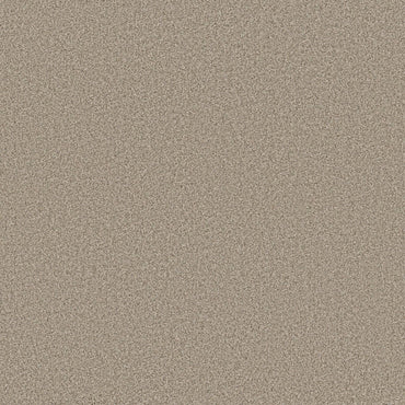 TEXTURE BCF