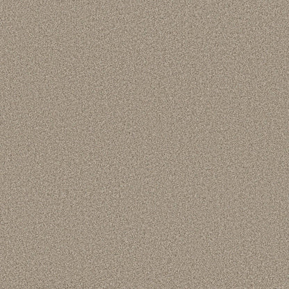 TEXTURE BCF