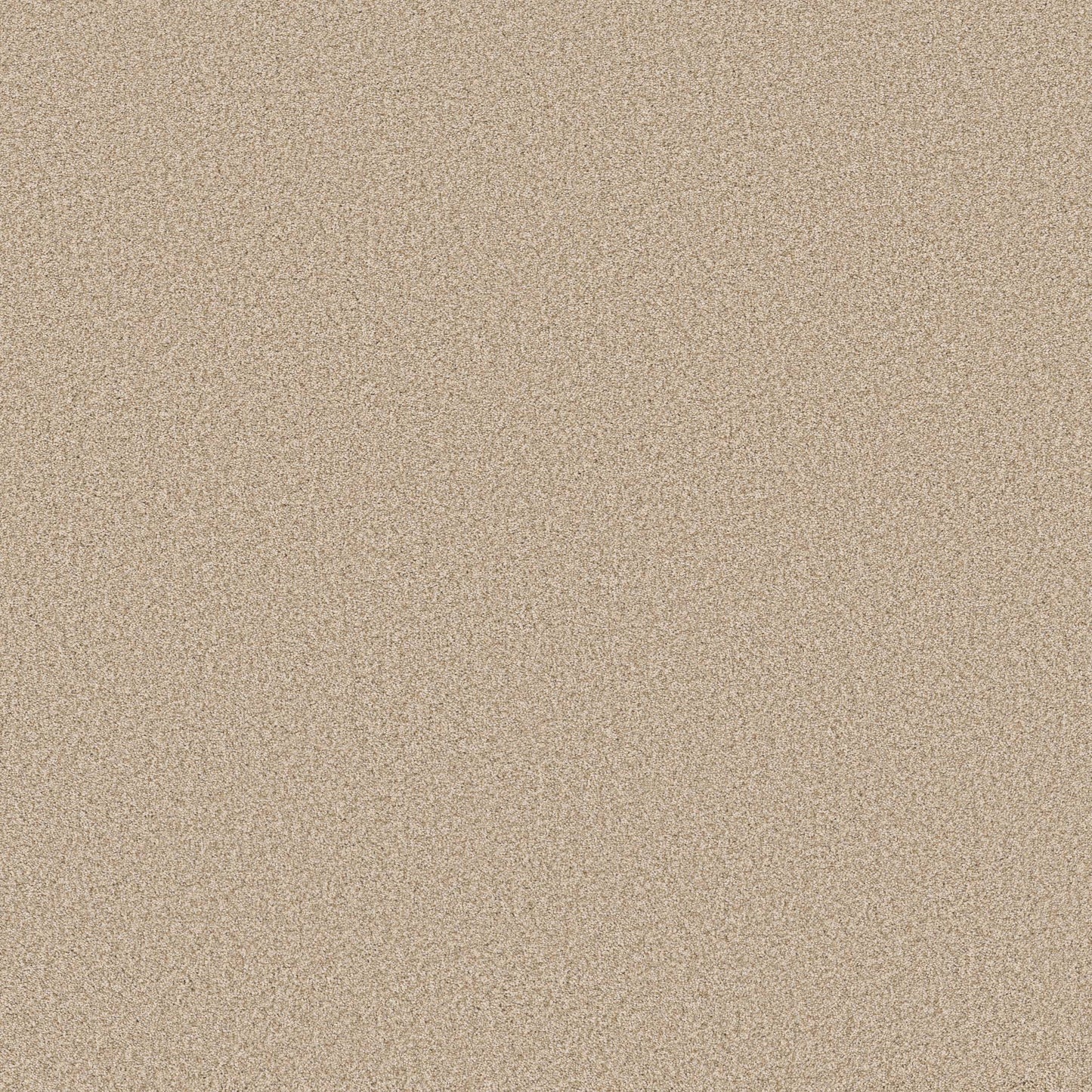 TEXTURE BCF