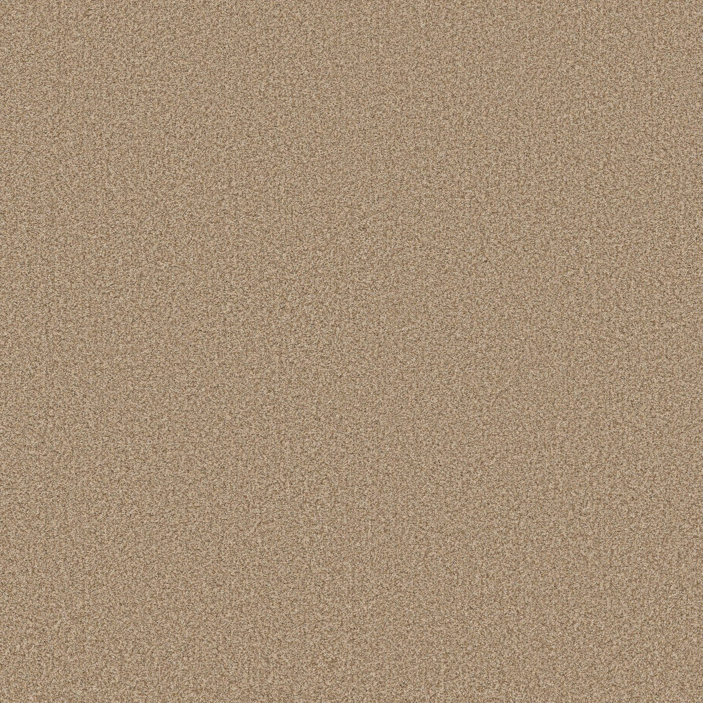 TEXTURE BCF