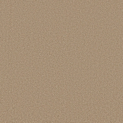 TEXTURE BCF