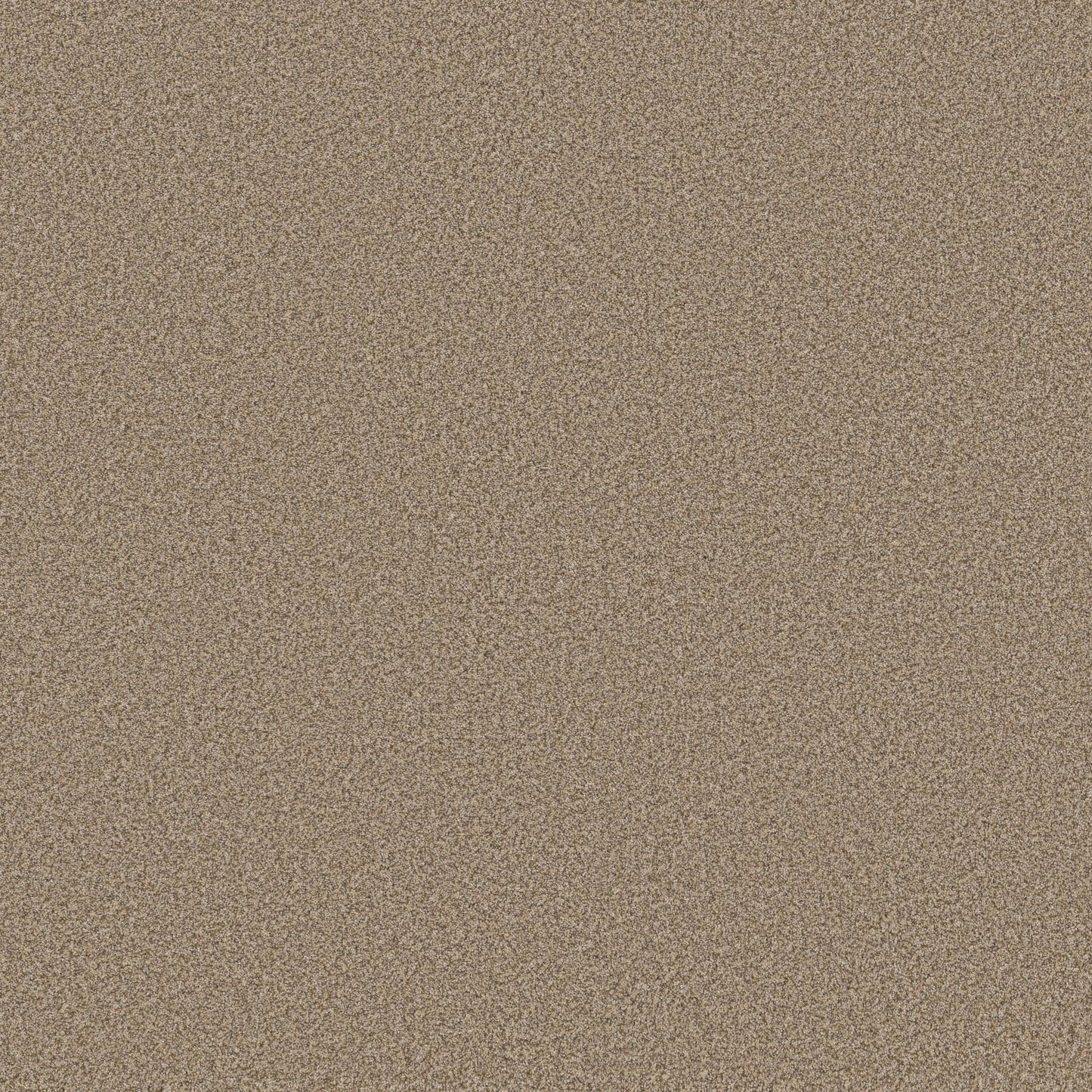 TEXTURE BCF
