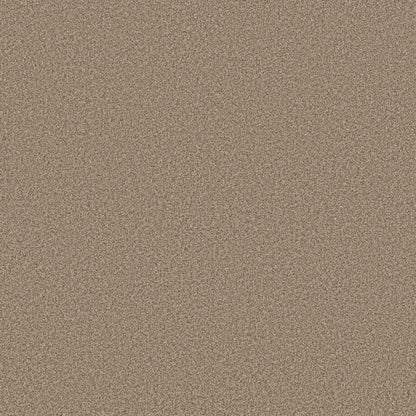 TEXTURE BCF