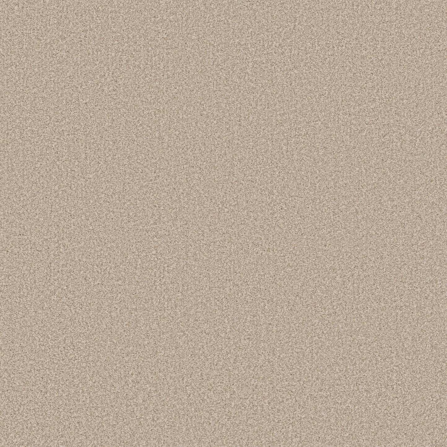 TEXTURE BCF