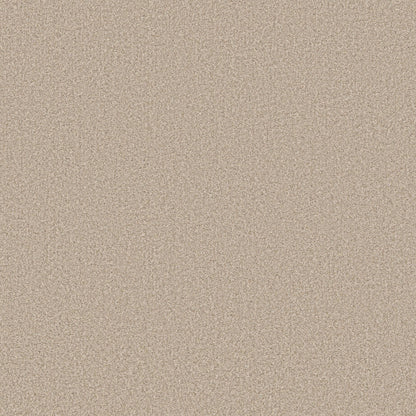 TEXTURE BCF
