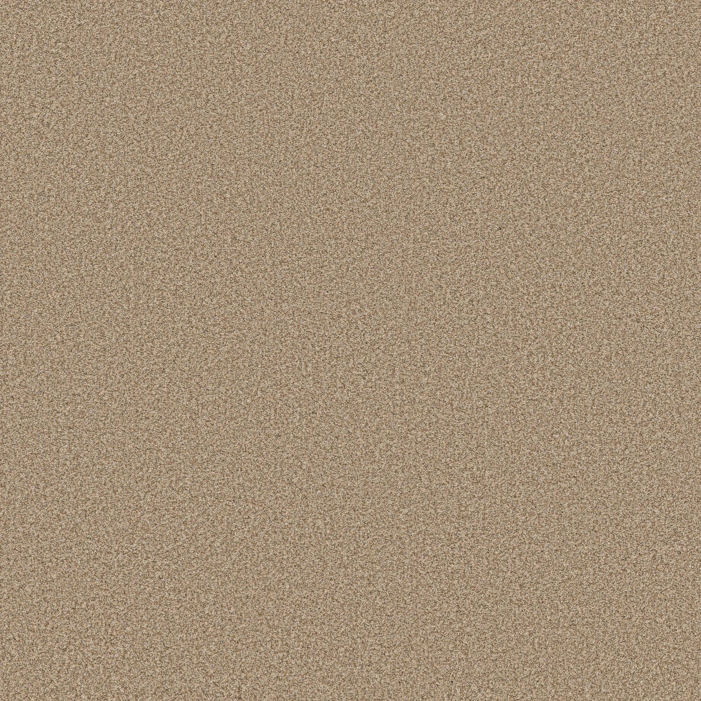 TEXTURE BCF
