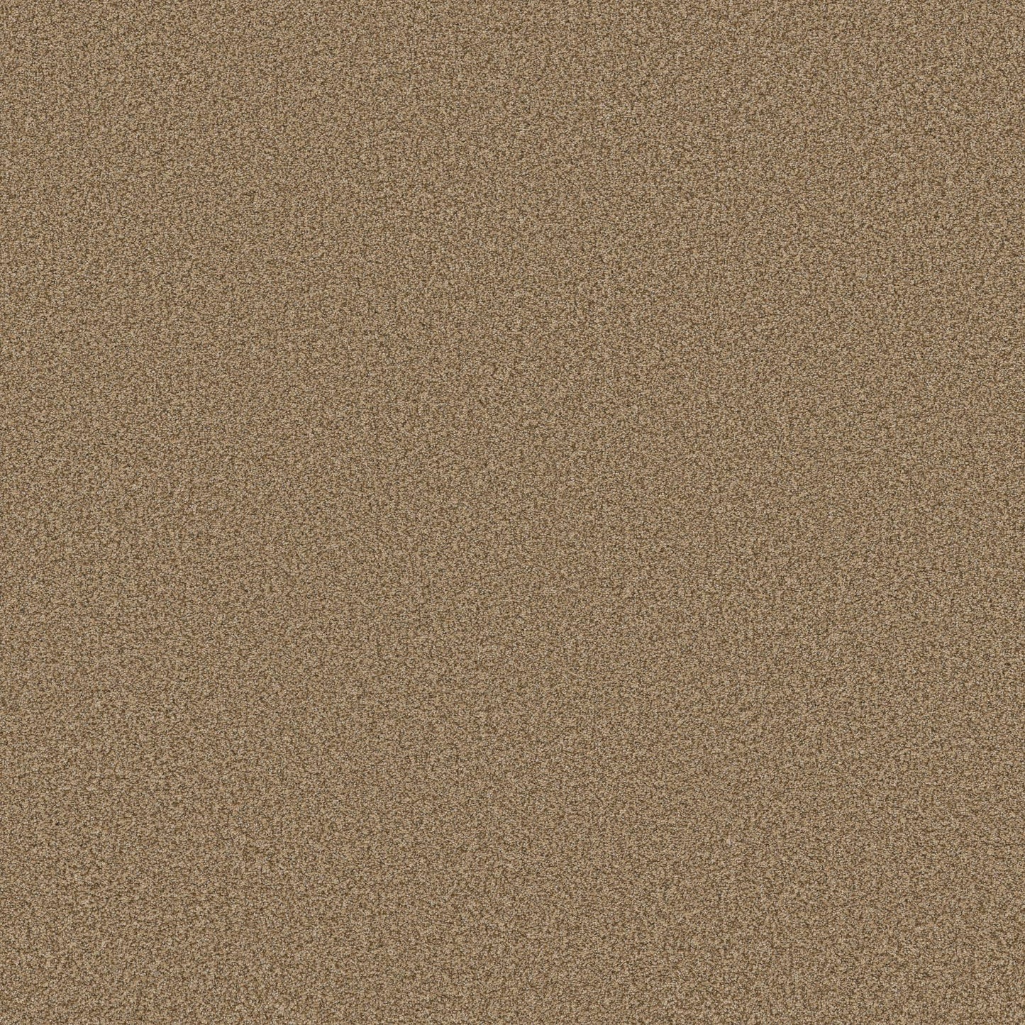 TEXTURE BCF