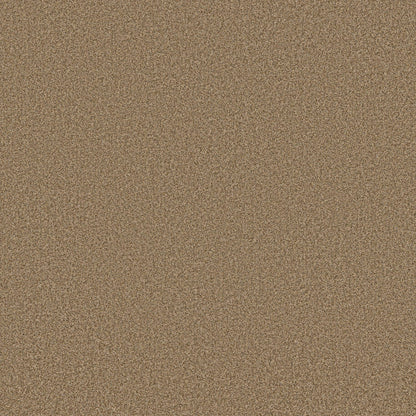TEXTURE BCF