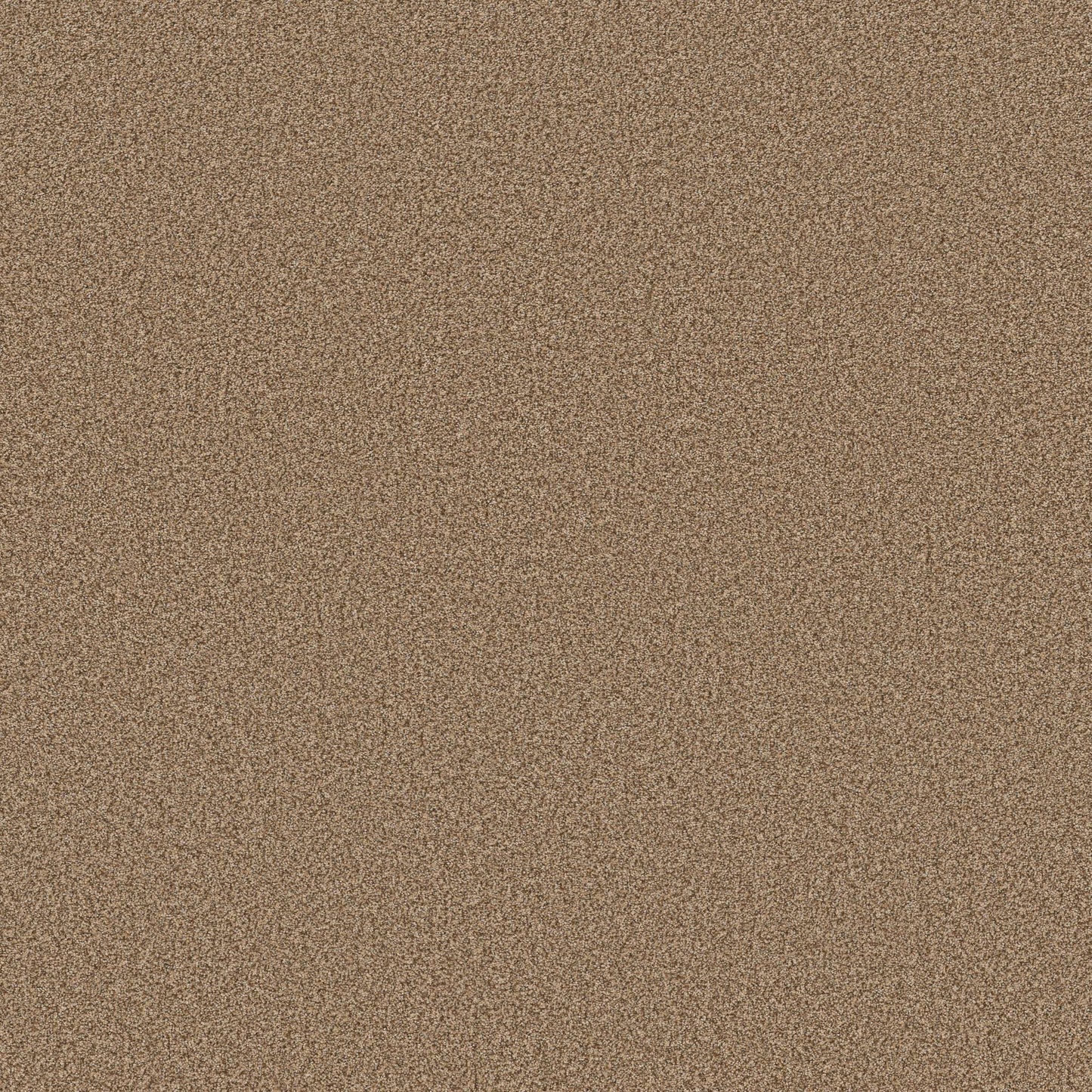 TEXTURE BCF