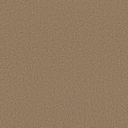 TEXTURE BCF