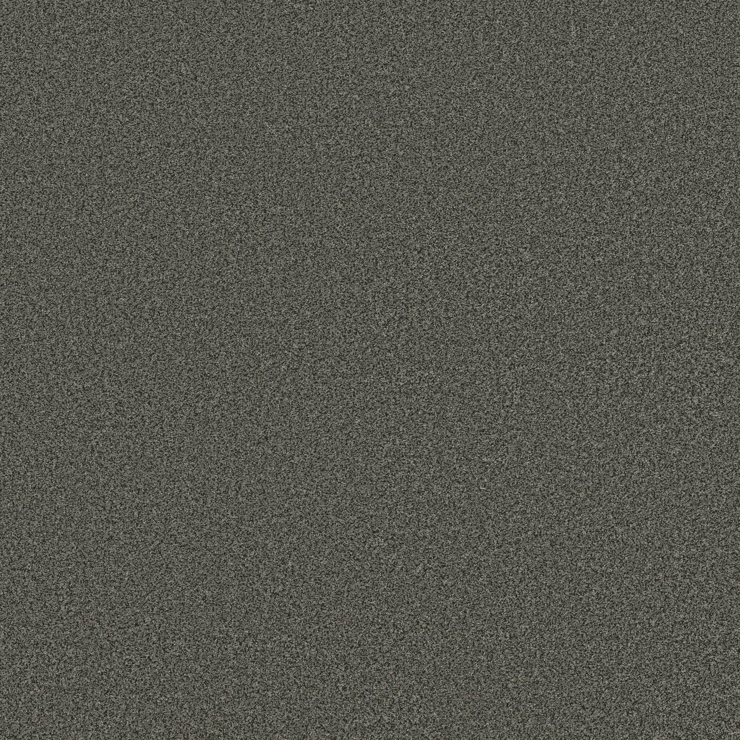 TEXTURE BCF