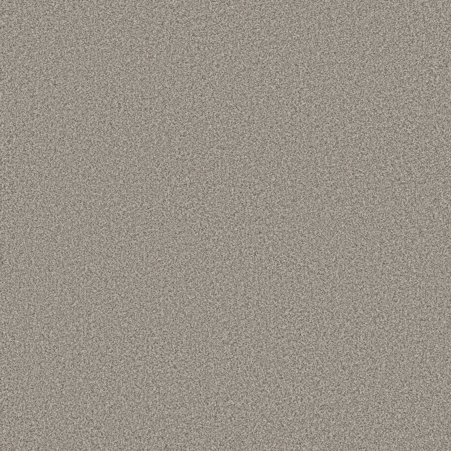 TEXTURE BCF