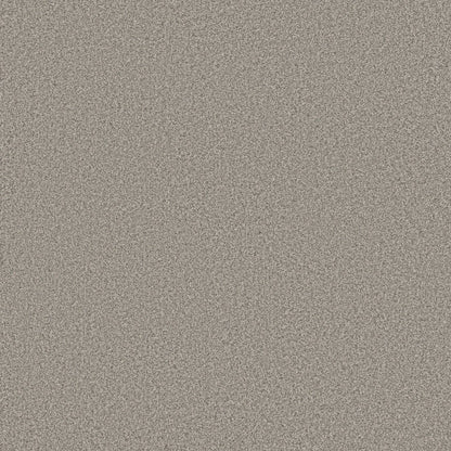 TEXTURE BCF