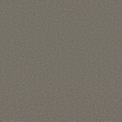 TEXTURE BCF