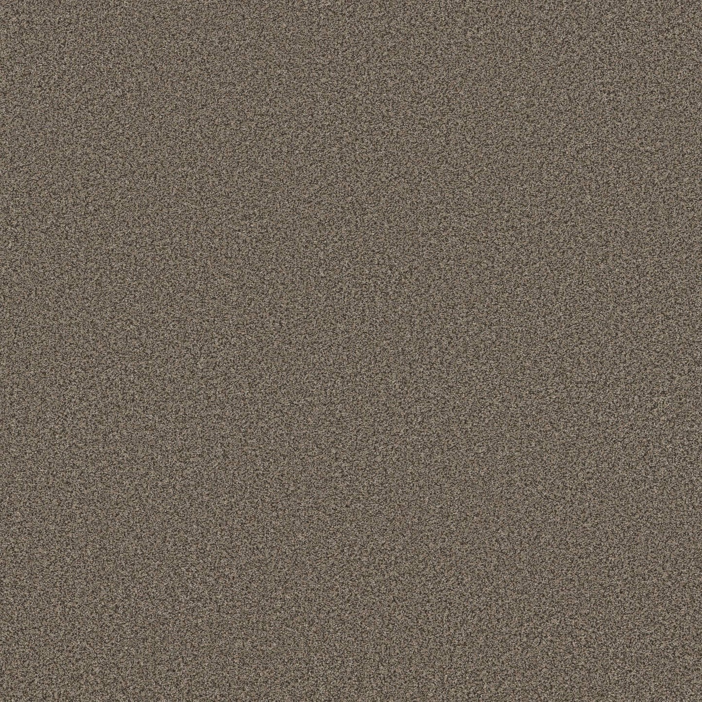 TEXTURE BCF