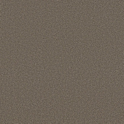 TEXTURE BCF