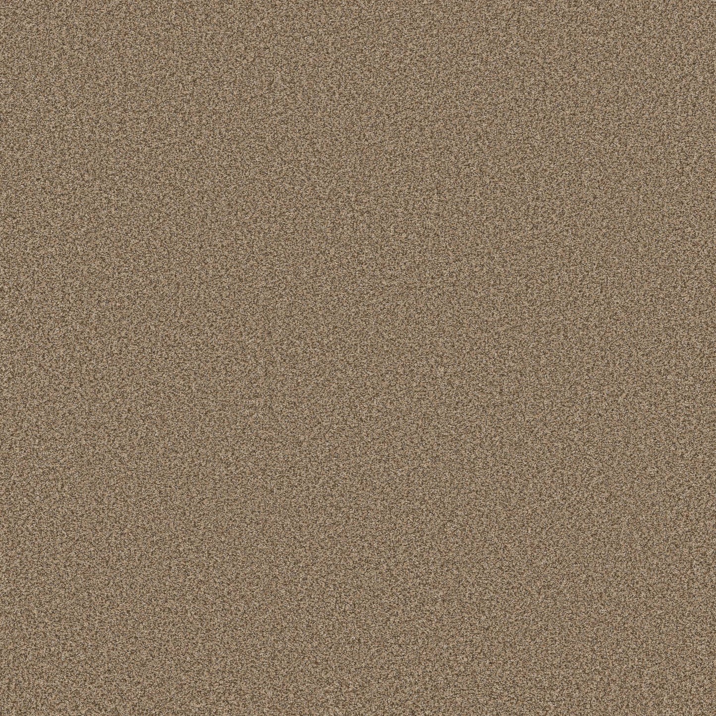TEXTURE BCF