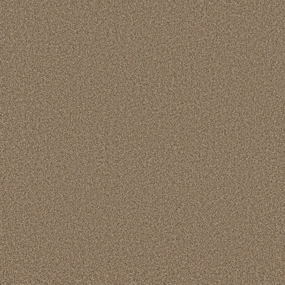 TEXTURE BCF