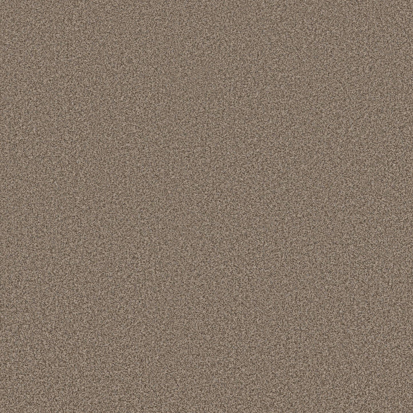 TEXTURE BCF