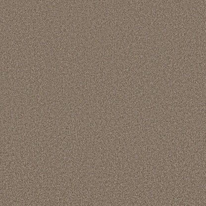TEXTURE BCF