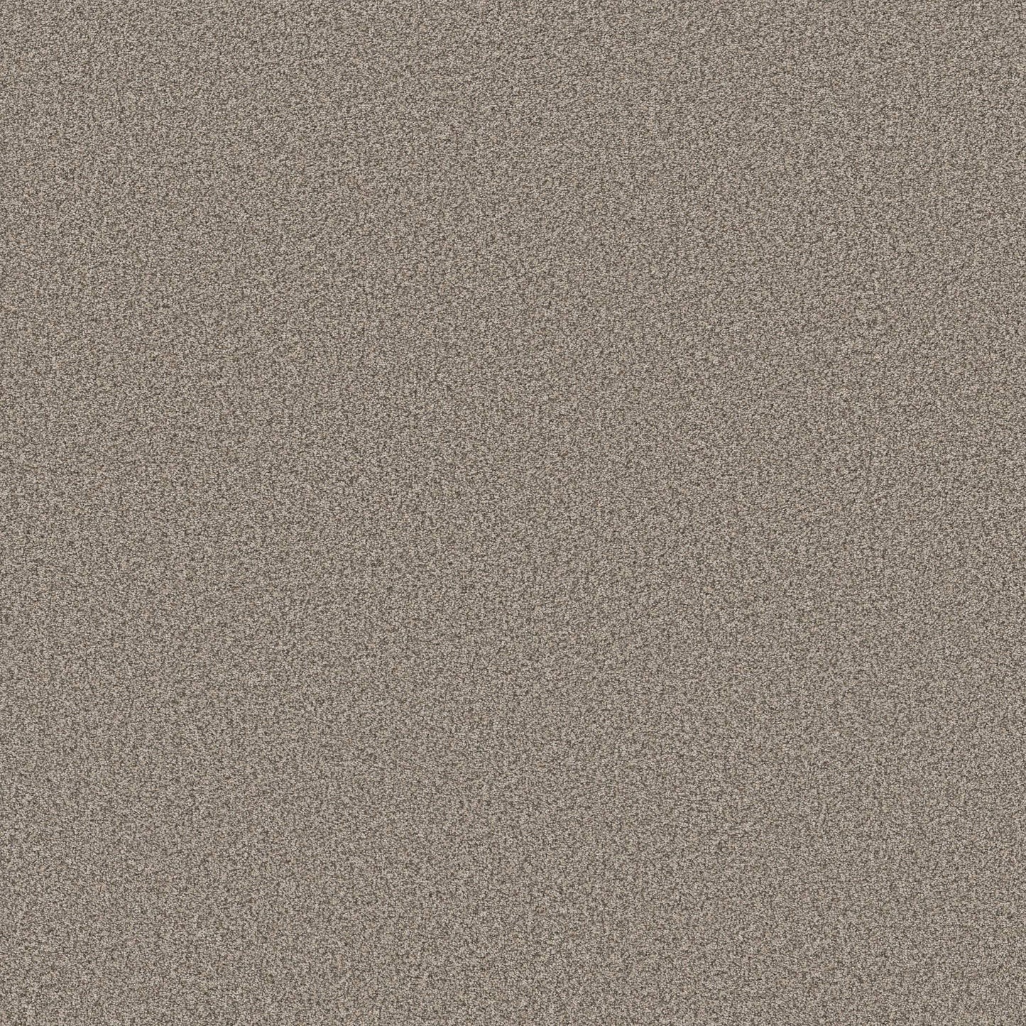 TEXTURE BCF