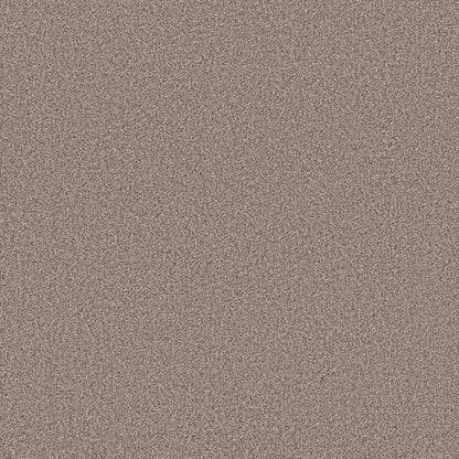 TEXTURE BCF