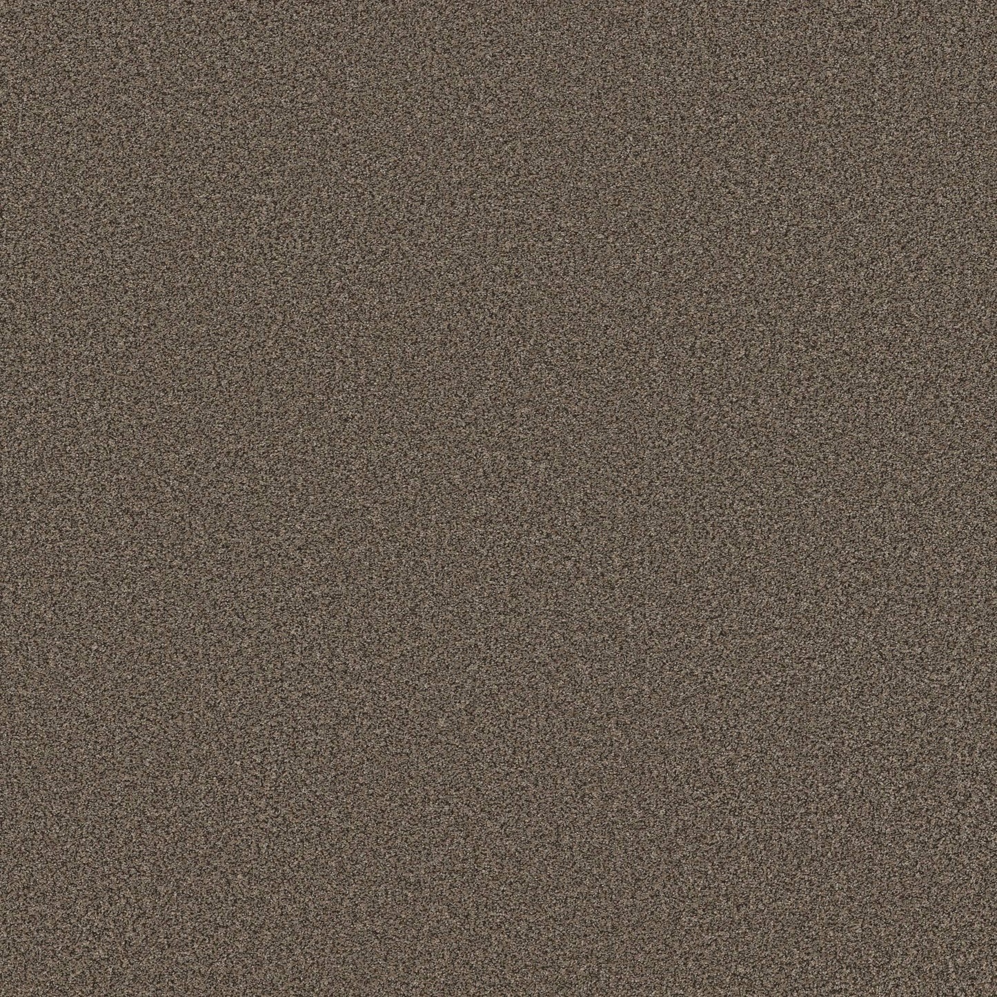 TEXTURE BCF