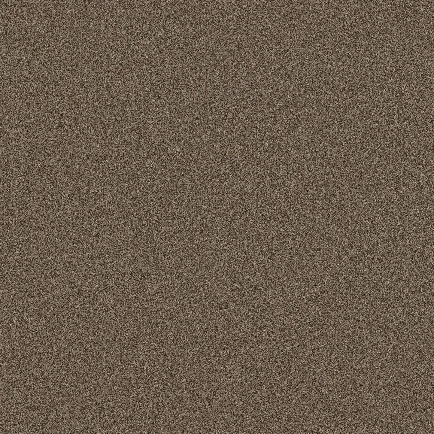 TEXTURE BCF