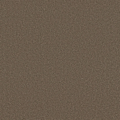 TEXTURE BCF