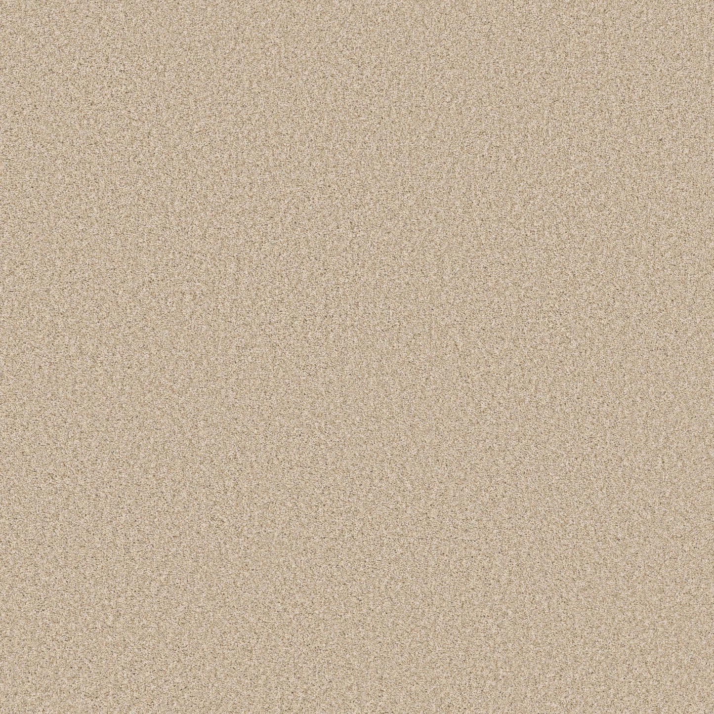 TEXTURE BCF