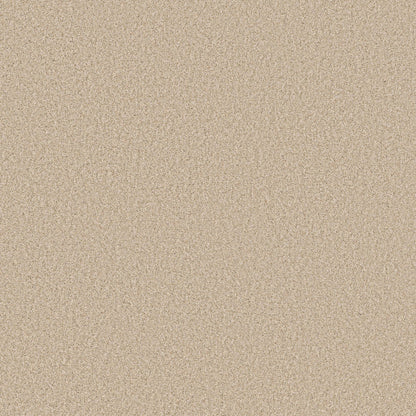 TEXTURE BCF