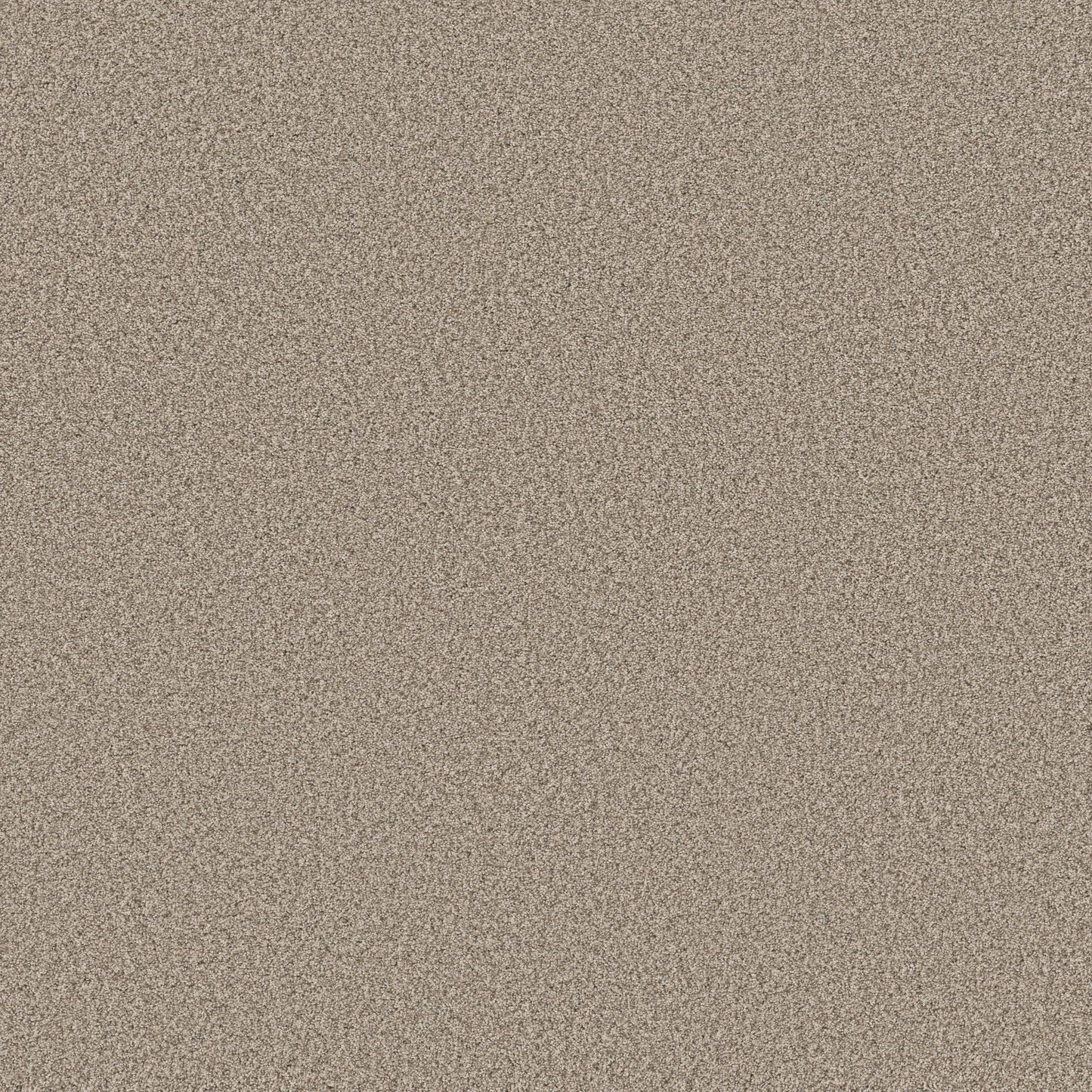 TEXTURE BCF