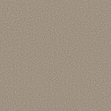TEXTURE BCF