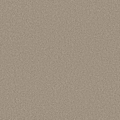 TEXTURE BCF