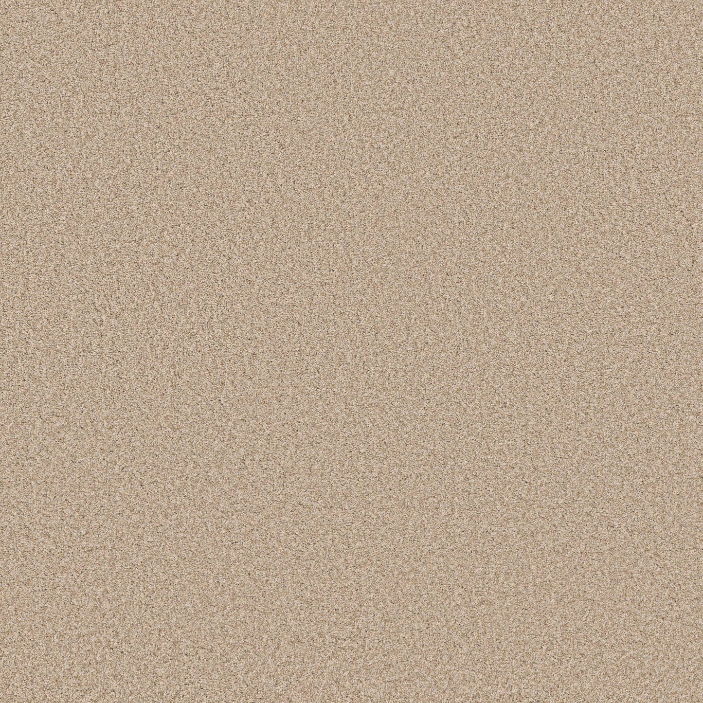 TEXTURE BCF