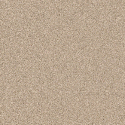 TEXTURE BCF
