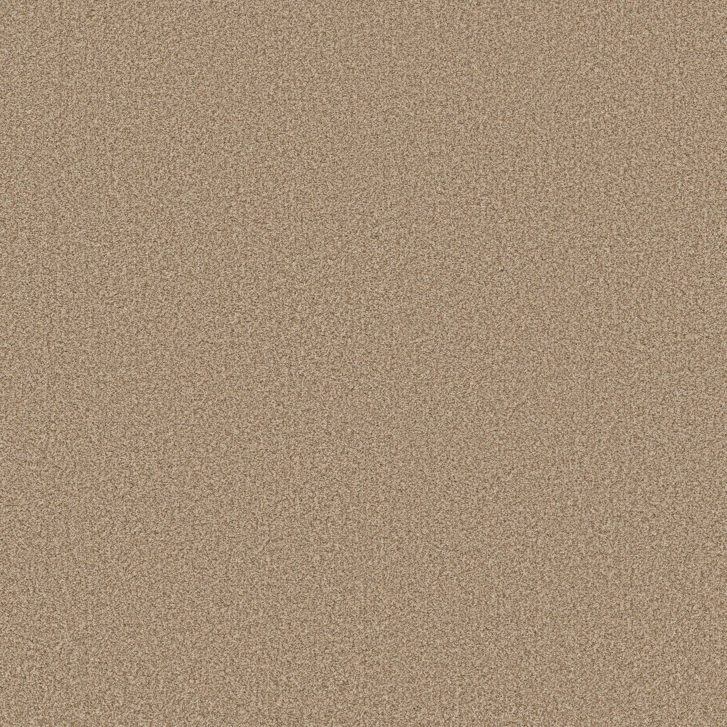 TEXTURE BCF