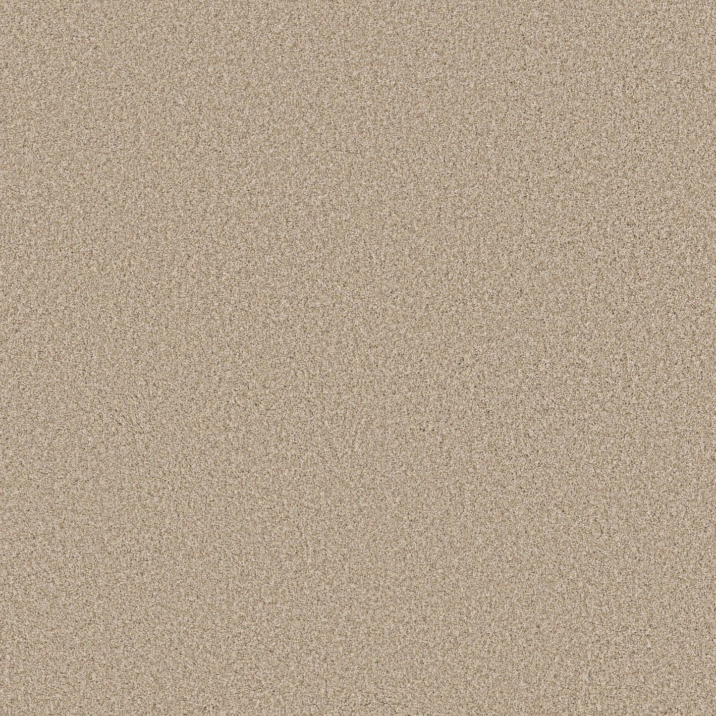 TEXTURE BCF