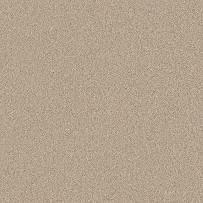 TEXTURE BCF