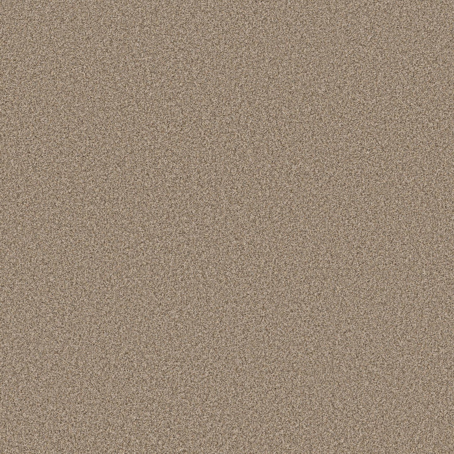 TEXTURE BCF