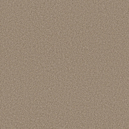 TEXTURE BCF