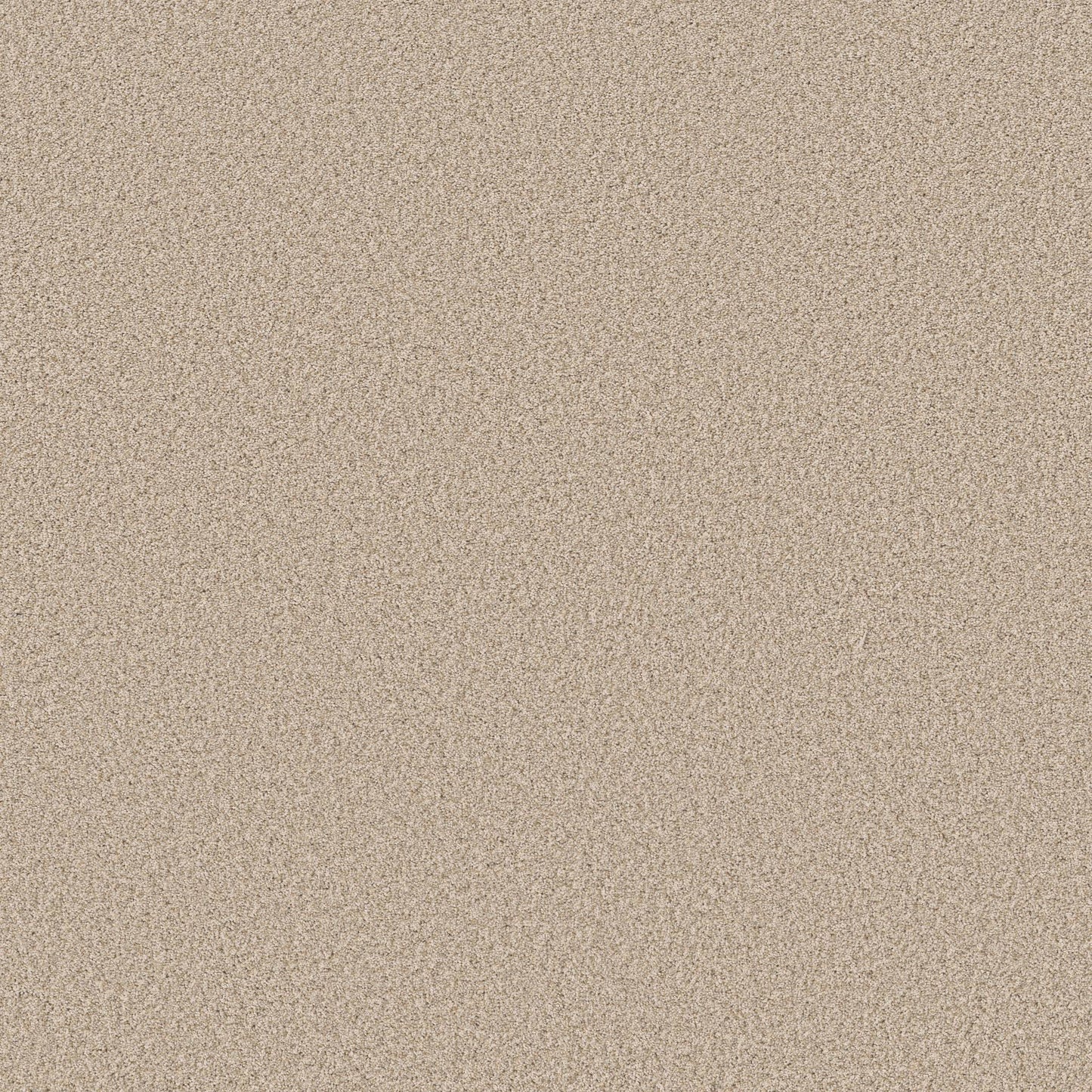 TEXTURE BCF